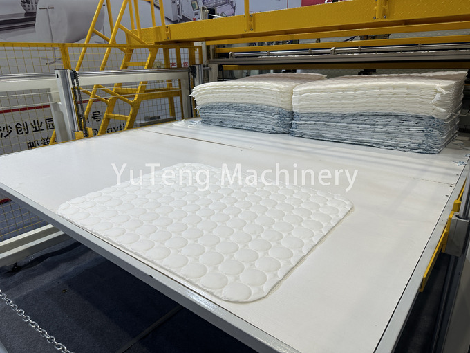 Computerized Automatic Fillet Cutting And Stacking Machine For Home ...